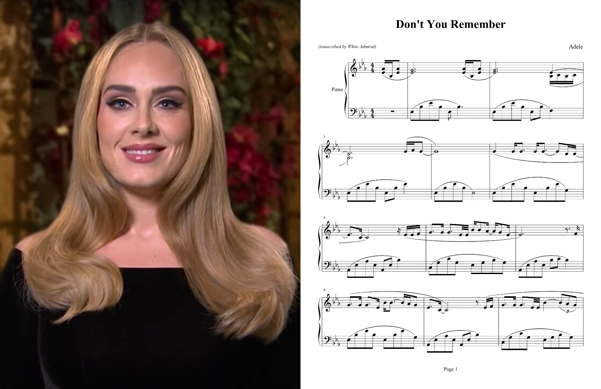 Adele - Don't You Remember.jpg